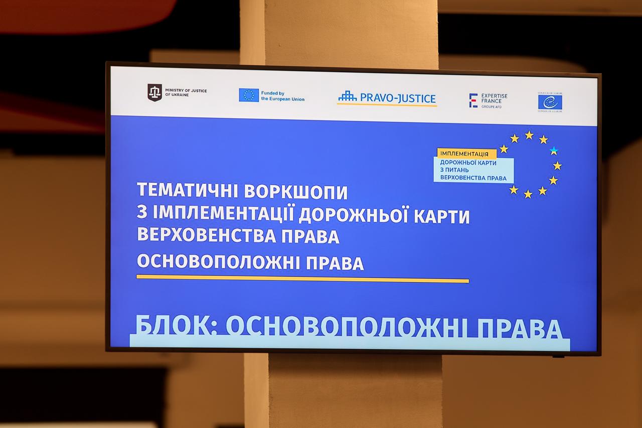 Thematic Workshops on the Implementation of the Rule of Law Roadmap in the Area of Fundamental Rights Were Held